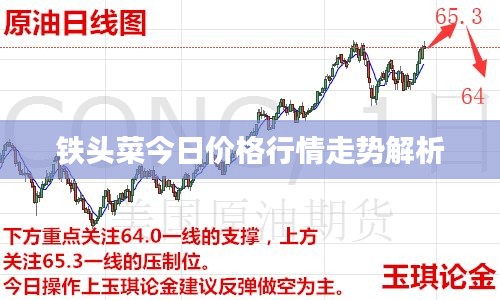 鐵頭菜今日價(jià)格行情走勢(shì)解析