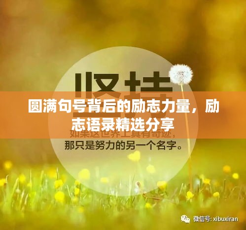 圓滿句號(hào)背后的勵(lì)志力量，勵(lì)志語(yǔ)錄精選分享