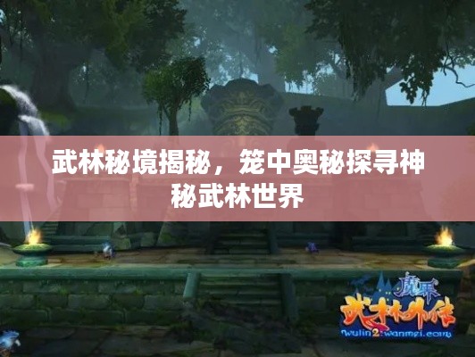 武林秘境揭秘，籠中奧秘探尋神秘武林世界