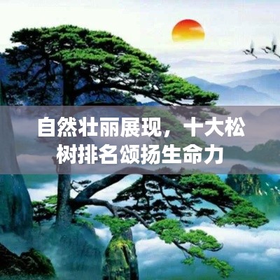 自然壯麗展現(xiàn)，十大松樹排名頌揚生命力