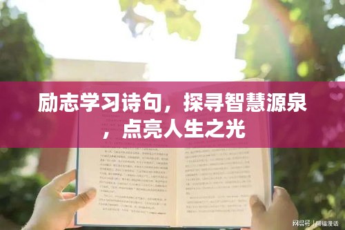 勵志學習詩句，探尋智慧源泉，點亮人生之光