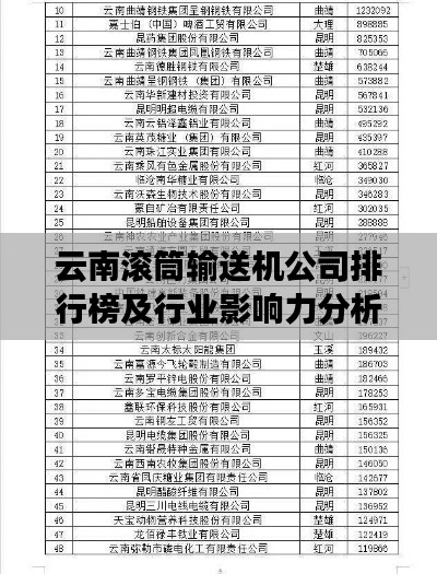云南滾筒輸送機(jī)公司排行榜及行業(yè)影響力分析