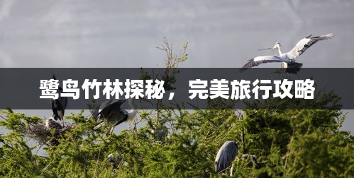 一飛沖天 第2頁