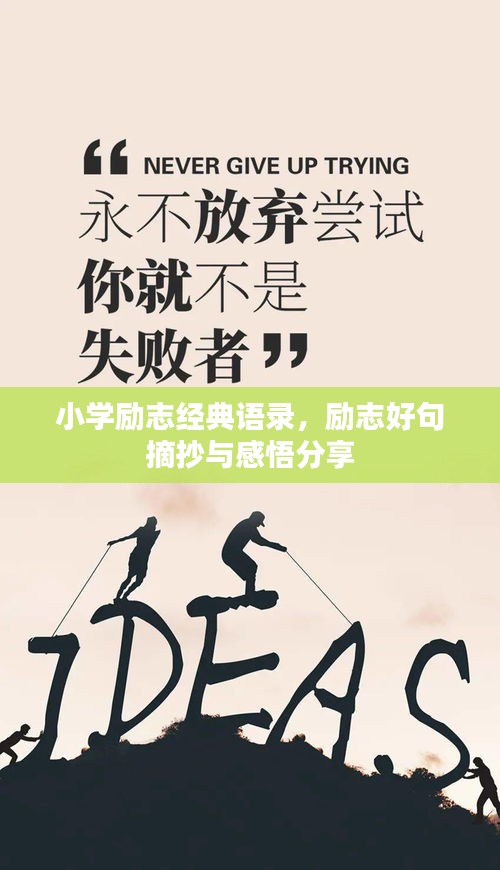 小學勵志經(jīng)典語錄，勵志好句摘抄與感悟分享
