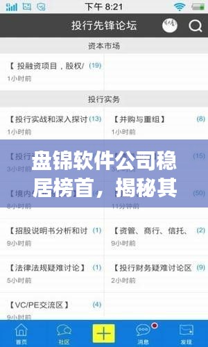 盤錦軟件公司穩(wěn)居榜首，揭秘其成功的奧秘