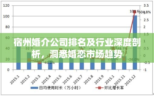 宿州婚介公司排名及行業(yè)深度剖析，洞悉婚戀市場(chǎng)趨勢(shì)