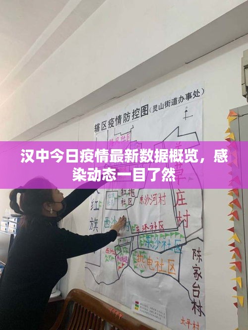 漢中今日疫情最新數(shù)據(jù)概覽，感染動態(tài)一目了然
