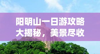 陽明山一日游攻略大揭秘，美景盡收眼底！