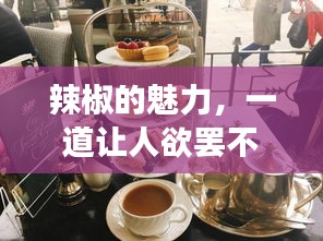 辣椒的魅力，一道讓人欲罷不能的美食探索之旅！