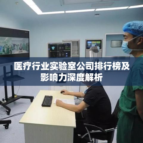 醫(yī)療行業(yè)實驗室公司排行榜及影響力深度解析