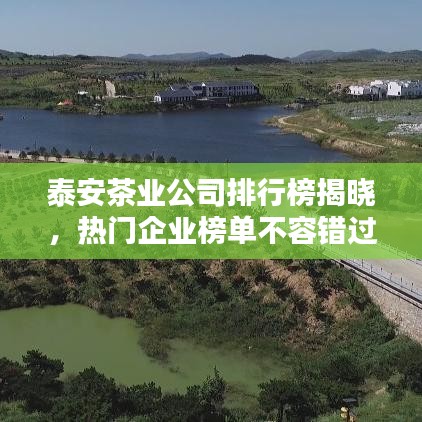 泰安茶業(yè)公司排行榜揭曉，熱門(mén)企業(yè)榜單不容錯(cuò)過(guò)！