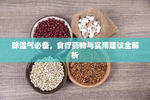 除濕氣必備，食療藥物與實(shí)用建議全解析