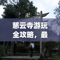 慈云寺游玩全攻略，最新路線一網(wǎng)打盡！