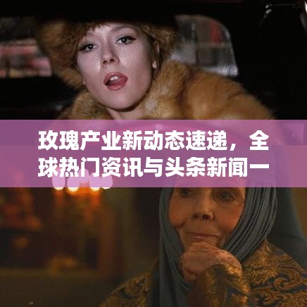 玫瑰產(chǎn)業(yè)新動(dòng)態(tài)速遞，全球熱門(mén)資訊與頭條新聞一網(wǎng)打盡