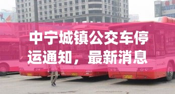 中寧城鎮(zhèn)公交車停運(yùn)通知，最新消息及影響分析