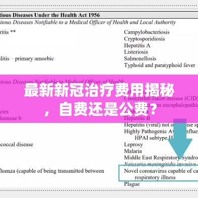 最新新冠治療費用揭秘，自費還是公費？