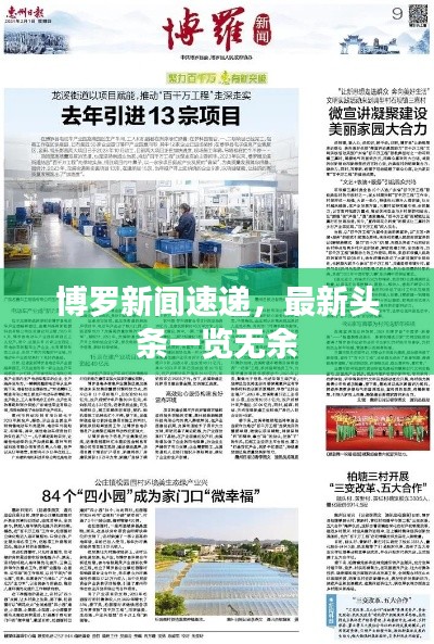 博羅新聞速遞，最新頭條一覽無余