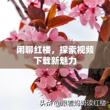 閑聊紅樓，探索視頻下載新魅力