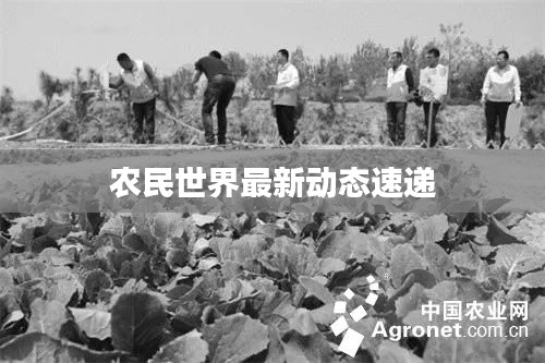 農民世界最新動態(tài)速遞
