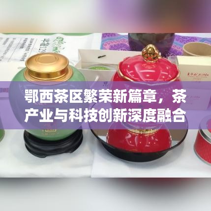 鄂西茶區(qū)繁榮新篇章，茶產(chǎn)業(yè)與科技創(chuàng)新深度融合引領(lǐng)發(fā)展之路