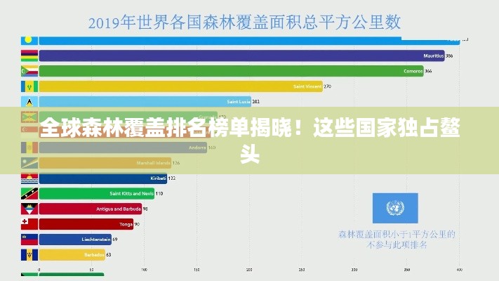 全球森林覆蓋排名榜單揭曉！這些國家獨占鰲頭