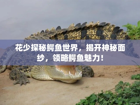 花少探秘鱷魚世界，揭開神秘面紗，領(lǐng)略鱷魚魅力！