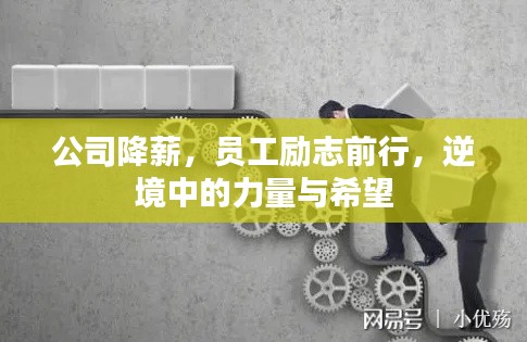公司降薪，員工勵志前行，逆境中的力量與希望