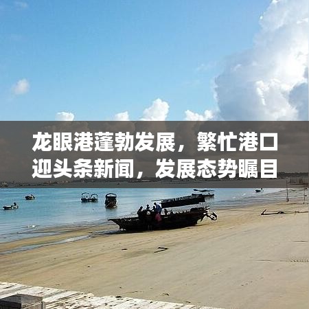 龍眼港蓬勃發(fā)展，繁忙港口迎頭條新聞，發(fā)展態(tài)勢(shì)矚目