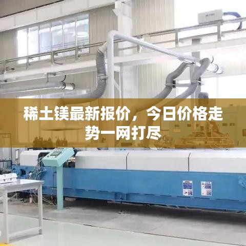 稀土鎂最新報價，今日價格走勢一網(wǎng)打盡