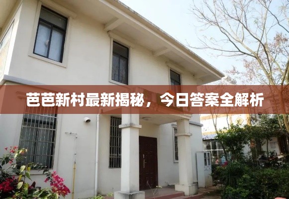 芭芭新村最新揭秘，今日答案全解析