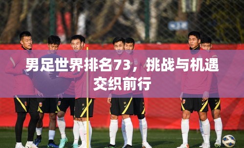 男足世界排名73，挑戰(zhàn)與機(jī)遇交織前行