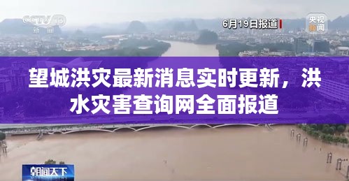 望城洪災(zāi)最新消息實時更新，洪水災(zāi)害查詢網(wǎng)全面報道