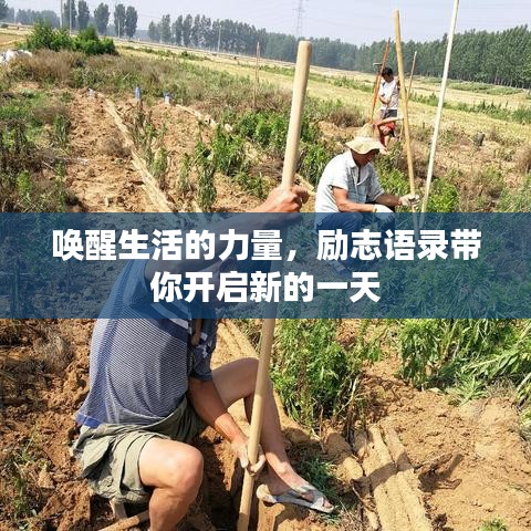 喚醒生活的力量，勵(lì)志語(yǔ)錄帶你開(kāi)啟新的一天