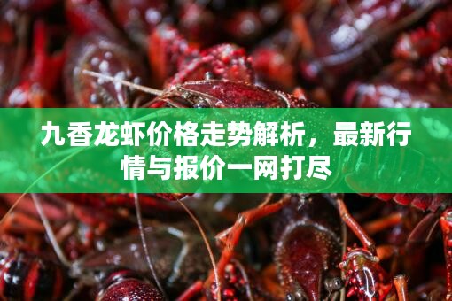 九香龍蝦價(jià)格走勢(shì)解析，最新行情與報(bào)價(jià)一網(wǎng)打盡