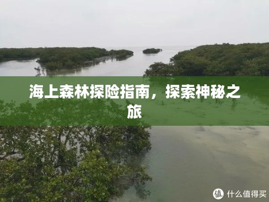 海上森林探險指南，探索神秘之旅