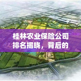 桂林農(nóng)業(yè)保險(xiǎn)公司排名揭曉，背后的故事引人關(guān)注