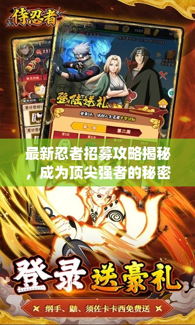 最新忍者招募攻略揭秘，成為頂尖強(qiáng)者的秘密之路！