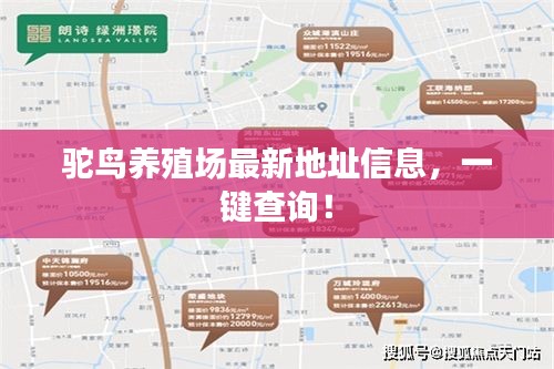 駝鳥養(yǎng)殖場最新地址信息，一鍵查詢！