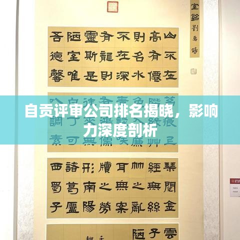 自貢評審公司排名揭曉，影響力深度剖析