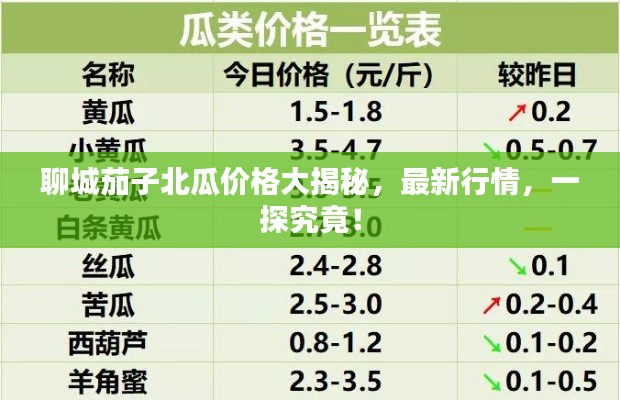 聊城茄子北瓜價格大揭秘，最新行情，一探究竟！