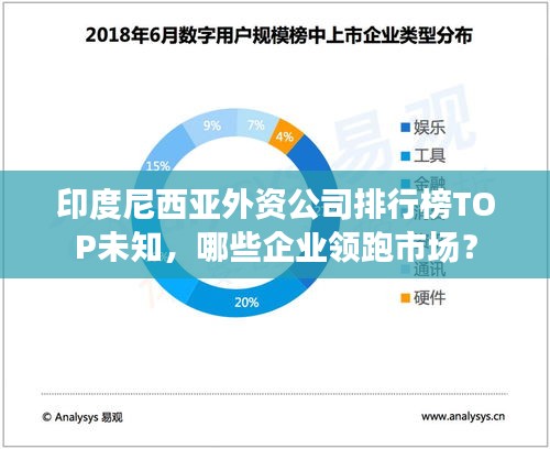 印度尼西亞外資公司排行榜TOP未知，哪些企業(yè)領跑市場？