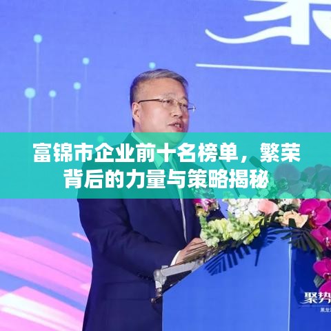 富錦市企業(yè)前十名榜單，繁榮背后的力量與策略揭秘