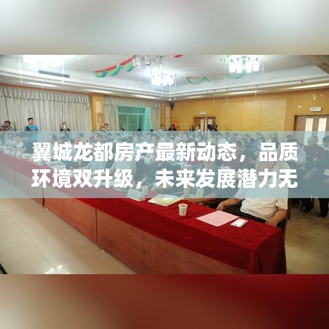 翼城龍都房產(chǎn)最新動態(tài)，品質(zhì)環(huán)境雙升級，未來發(fā)展?jié)摿o限