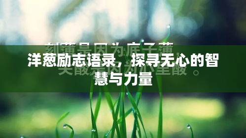 洋蔥勵志語錄，探尋無心的智慧與力量