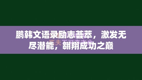 鵬韓文語錄勵志薈萃，激發(fā)無盡潛能，翱翔成功之巔