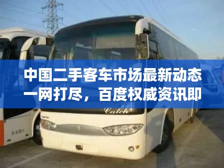 雍容典雅 第2頁