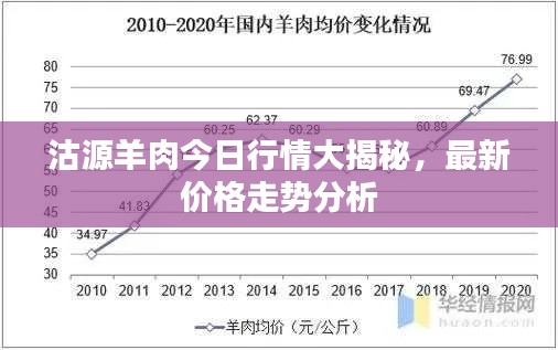 沽源羊肉今日行情大揭秘，最新價(jià)格走勢(shì)分析