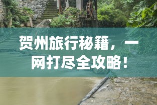 烏鳥(niǎo)之情 第2頁(yè)