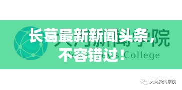 長葛最新新聞頭條，不容錯過！
