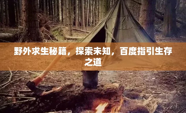 野外求生秘籍，探索未知，百度指引生存之道